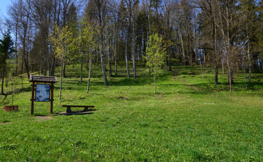 8_Lyduvenu piliakalnis.jpg